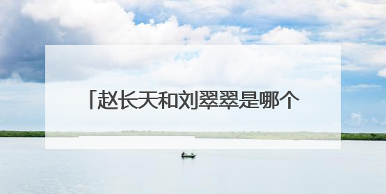 赵长天和刘翠翠是哪个电视剧里的人物啊？