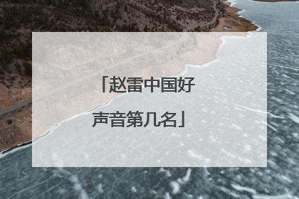 赵雷中国好声音第几名