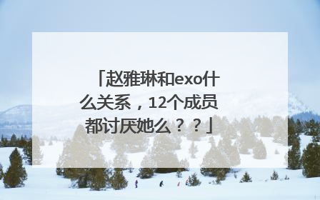 赵雅琳和exo什么关系，12个成员都讨厌她么？？