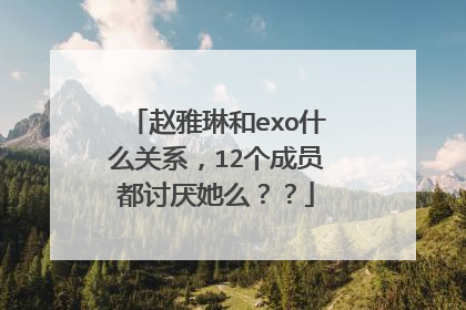 赵雅琳和exo什么关系，12个成员都讨厌她么？？