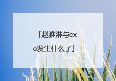 赵雅淋与exo发生什么了