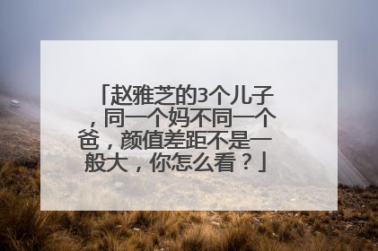 赵雅芝的3个儿子,同一个妈不同一个爸,颜值差距不是一般大,你怎么看?