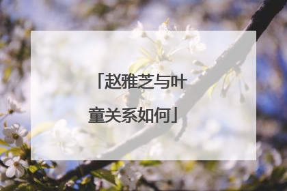 赵雅芝与叶童关系如何