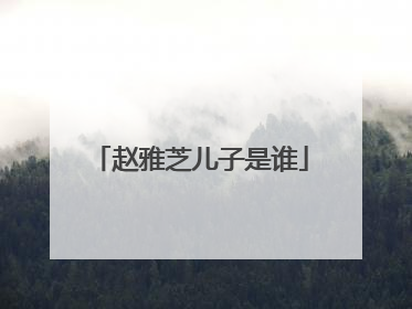 赵雅芝儿子是谁