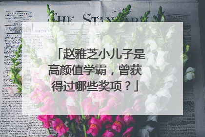 赵雅芝小儿子是高颜值学霸,曾获得过哪些奖项?