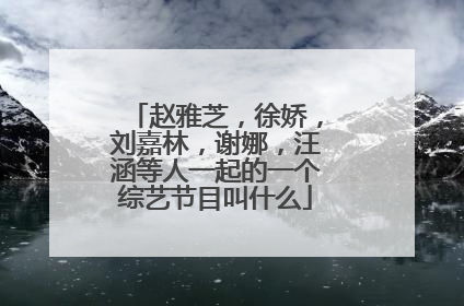 赵雅芝,徐娇,刘嘉林,谢娜,汪涵等人一起的一个综艺节目叫什么