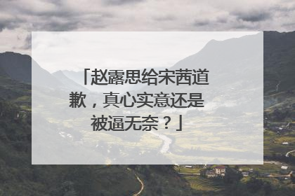 赵露思给宋茜道歉，真心实意还是被逼无奈？