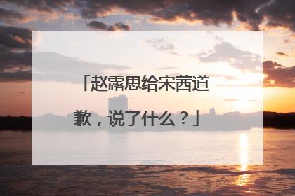 赵露思给宋茜道歉,说了什么?