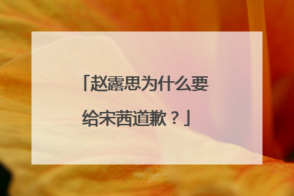 赵露思为什么要给宋茜道歉？
