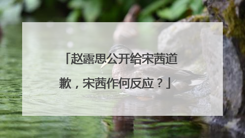 赵露思公开给宋茜道歉，宋茜作何反应？