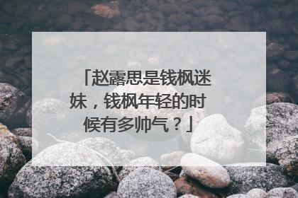 赵露思是钱枫迷妹，钱枫年轻的时候有多帅气？