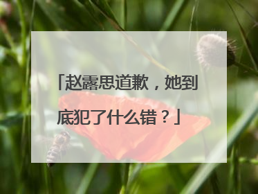 赵露思道歉,她到底犯了什么错?