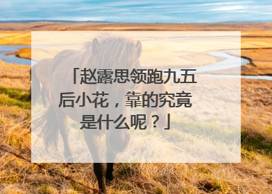 赵露思领跑九五后小花,靠的究竟是什么呢?