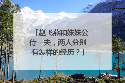赵飞燕和妹妹公侍一夫，两人分别有怎样的经历？