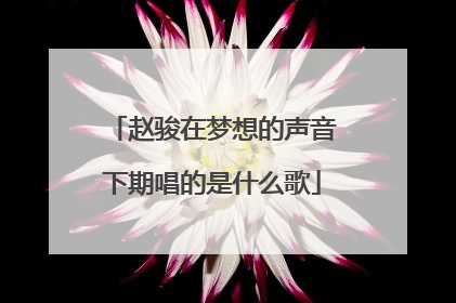 赵骏在梦想的声音下期唱的是什么歌
