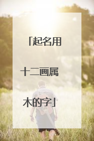 起名用十二画属木的字