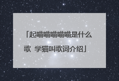 起喵喵喵喵喵是什么歌 学猫叫歌词介绍