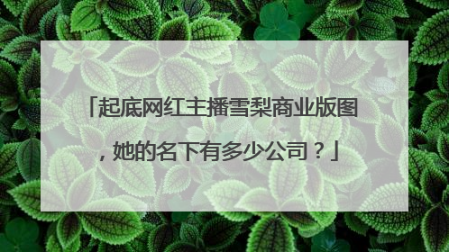 起底网红主播雪梨商业版图,她的名下有多少公司?