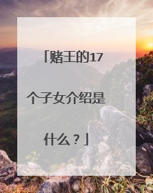 赌王的17个子女介绍是什么？