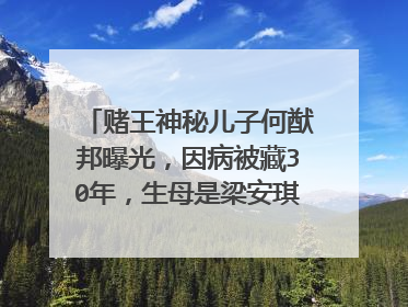 赌王神秘儿子何猷邦曝光,因病被藏30年,生母是梁安琪还是利智呢?