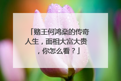 赌王何鸿燊的传奇人生，面相大富大贵，你怎么看？