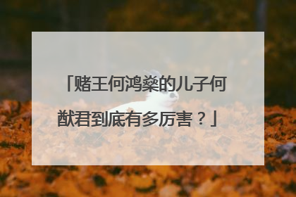 赌王何鸿燊的儿子何猷君到底有多厉害?