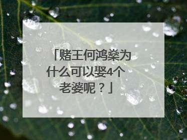 赌王何鸿燊为什么可以娶4个老婆呢？