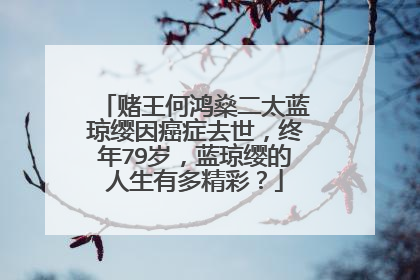 赌王何鸿燊二太蓝琼缨因癌症去世，终年79岁，蓝琼缨的人生有多精彩？
