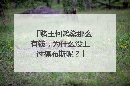 赌王何鸿燊那么有钱，为什么没上过福布斯呢？