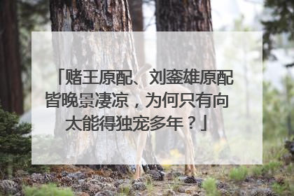 赌王原配、刘銮雄原配皆晚景凄凉，为何只有向太能得独宠多年？