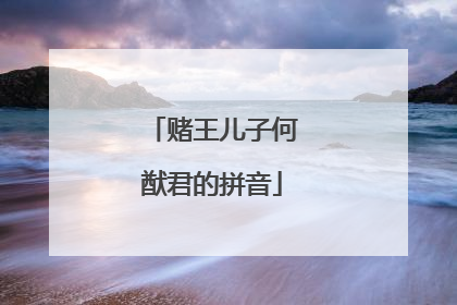 赌王儿子何猷君的拼音