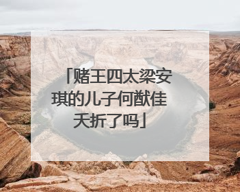 赌王四太梁安琪的儿子何猷佳夭折了吗