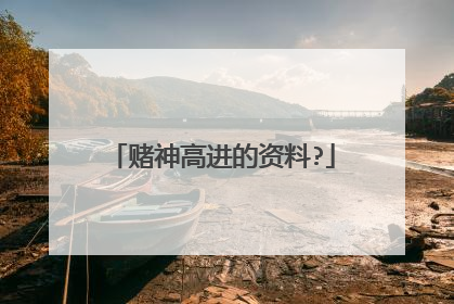 赌神高进的资料?