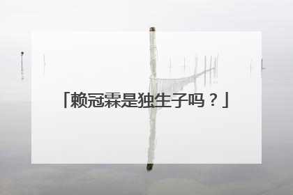 赖冠霖是独生子吗?