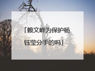 赖文峰为保护杨钰莹分手的吗