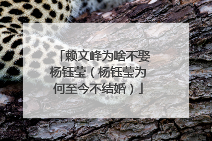 赖文峰为啥不娶杨钰莹（杨钰莹为何至今不结婚）