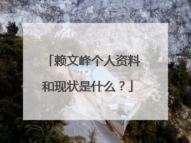 赖文峰个人资料和现状是什么?