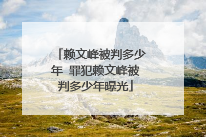 赖文峰被判多少年 罪犯赖文峰被判多少年曝光