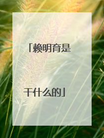 赖明育是干什么的