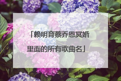 赖明育蔡乔恩冥婚里面的所有歌曲名