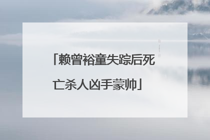 赖曾裕童失踪后死亡杀人凶手蒙帅