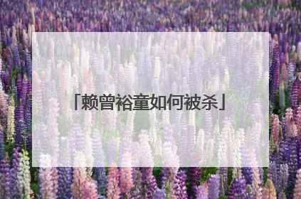 赖曾裕童如何被杀