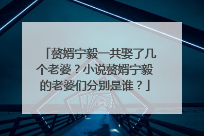 赘婿宁毅一共娶了几个老婆？小说赘婿宁毅的老婆们分别是谁？