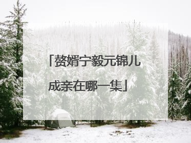 赘婿宁毅元锦儿成亲在哪一集