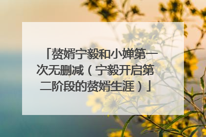 赘婿宁毅和小婵第一次无删减(宁毅开启第二阶段的赘婿生涯)