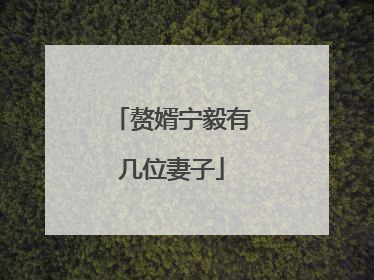 赘婿宁毅有几位妻子