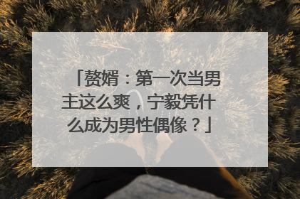 赘婿:第一次当男主这么爽,宁毅凭什么成为男性偶像?
