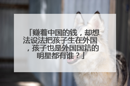 赚着中国的钱,却想法设法把孩子生在外国,孩子也是外国国籍的明星都有谁?