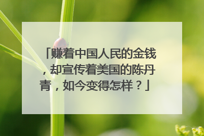 赚着中国人民的金钱,却宣传着美国的陈丹青,如今变得怎样?