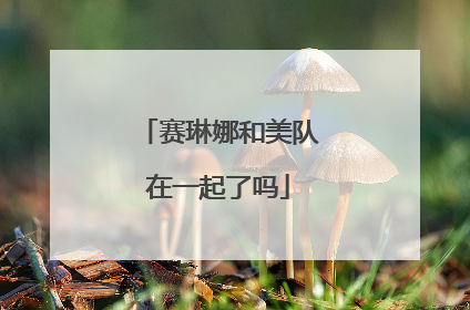 赛琳娜和美队在一起了吗